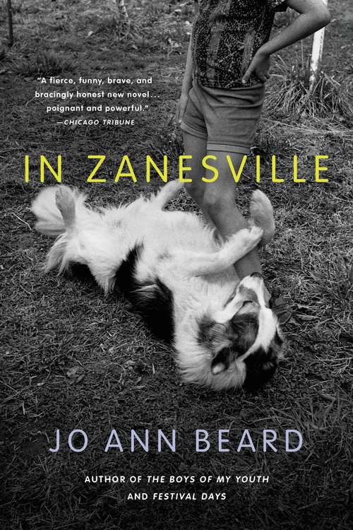 Book cover of In Zanesville: A Novel