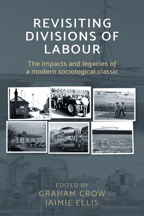 Book cover of Revisiting  Divisions of Labour: The impacts and legacies of a modern sociological classic