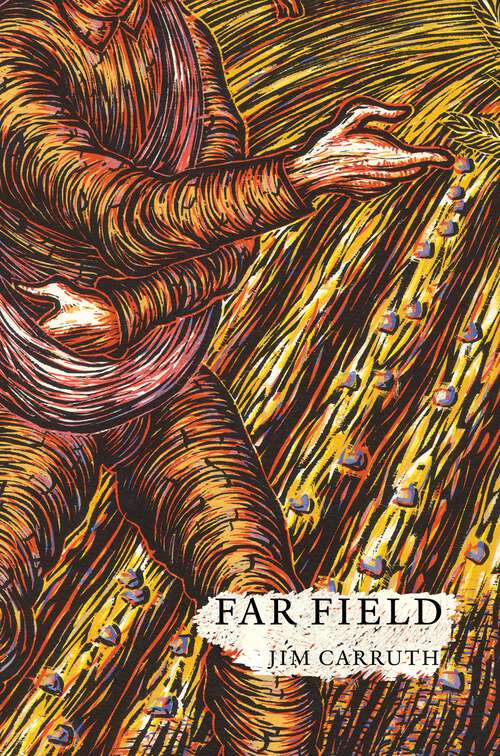 Book cover of Far Field