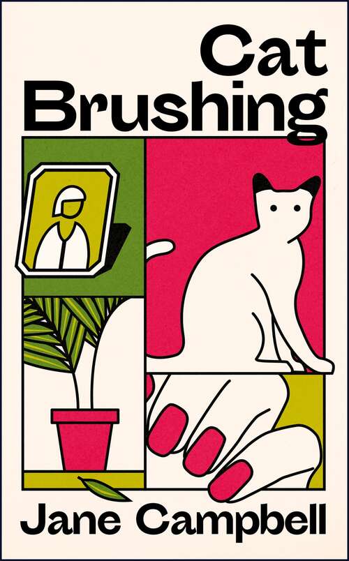 Book cover of Cat Brushing: a dazzling short story collection about thirteen older women