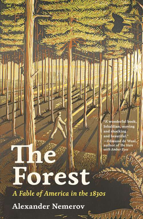 Book cover of The Forest: A Fable of America in the 1830s