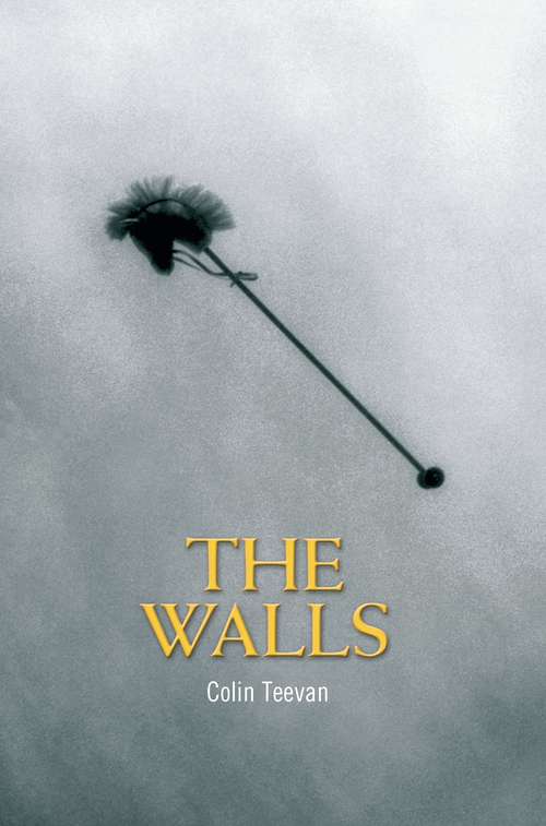 Book cover of The Walls (Oberon Modern Plays)