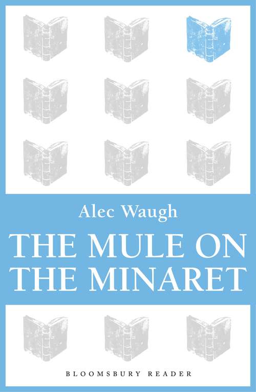 Book cover of The Mule on the Minaret: A Novel about the Middle East