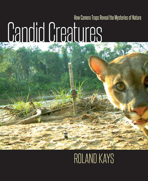 Book cover of Candid Creatures: How Camera Traps Reveal the Mysteries of Nature