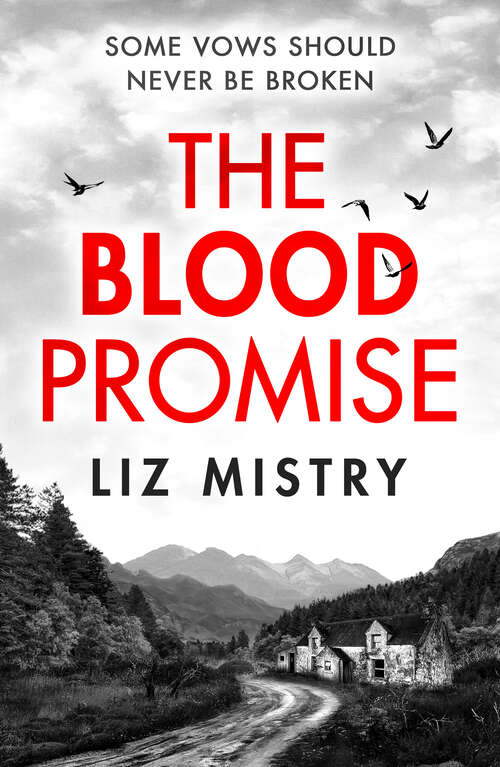 Book cover of The Blood Promise (ePub edition) (The Solanki and McQueen Crime Series #1)