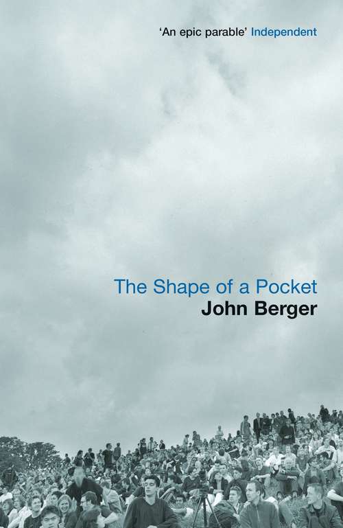 Book cover of The Shape of a Pocket (Vintage International Series)