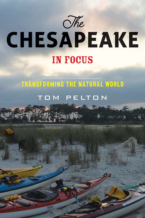 Book cover of The Chesapeake in Focus: Transforming the Natural World
