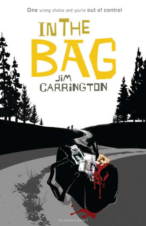 Book cover of In the Bag