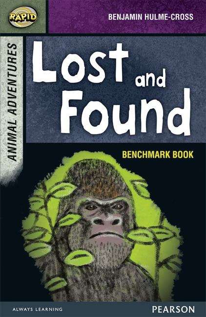 Book cover of Rapid Stage 7 Assessment Book: Lost and Found (PDF)