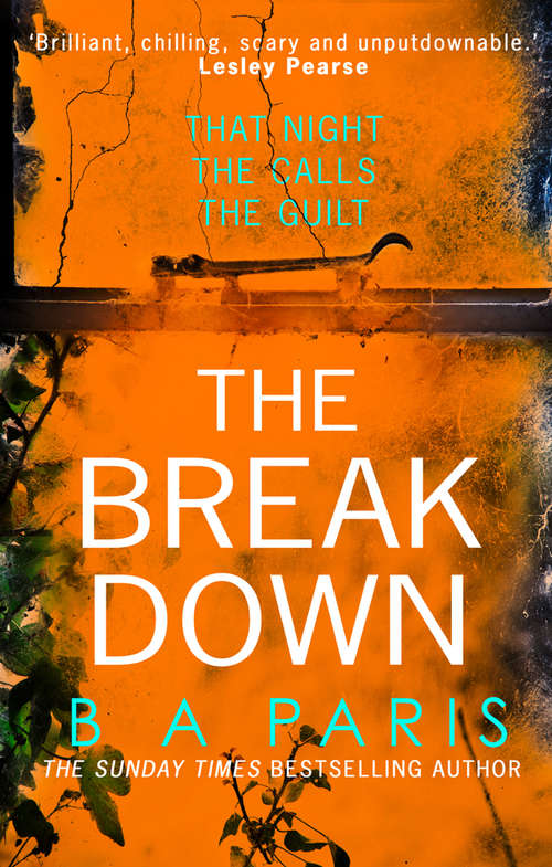 Book cover of The Breakdown: The Breakdown (ePub edition)