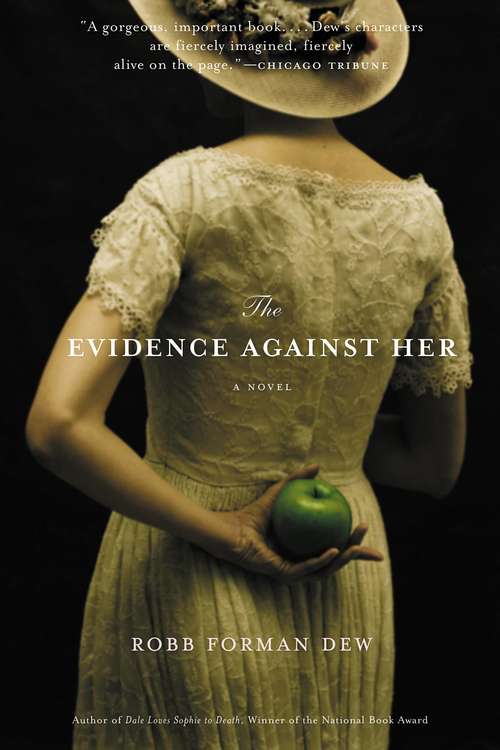 Book cover of The Evidence Against Her: A Novel