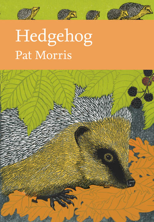 Book cover of Hedgehog (ePub edition) (Collins New Naturalist Library #137)