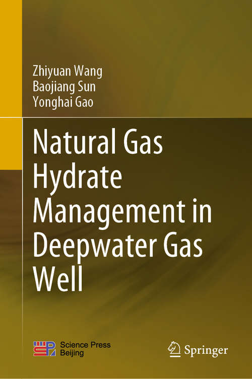 Book cover of Natural Gas Hydrate Management in Deepwater Gas Well (1st ed. 2020)