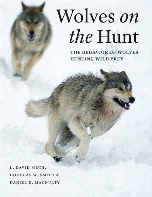 Book cover of Wolves on the Hunt: The Behavior of Wolves Hunting Wild Prey