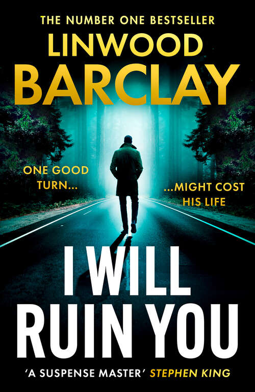 Book cover of I Will Ruin You