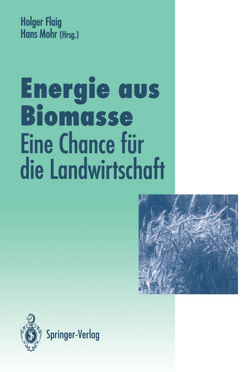 Book cover of Energie aus Biomasse: — eine Chance für die Landwirtschaft (1993) (Veröffentlichungen der Akademie für Technikfolgenabschätzung in Baden-Württemberg)