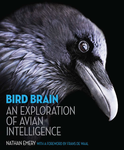 Book cover of Bird Brain: An Exploration of Avian Intelligence