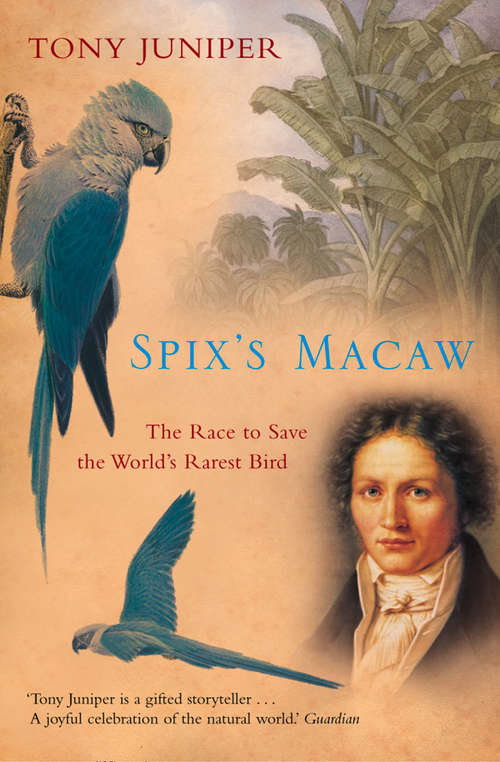 Book cover of Spix’s Macaw (Text Only): The Race To Save The World's Rarest Bird (ePub edition)