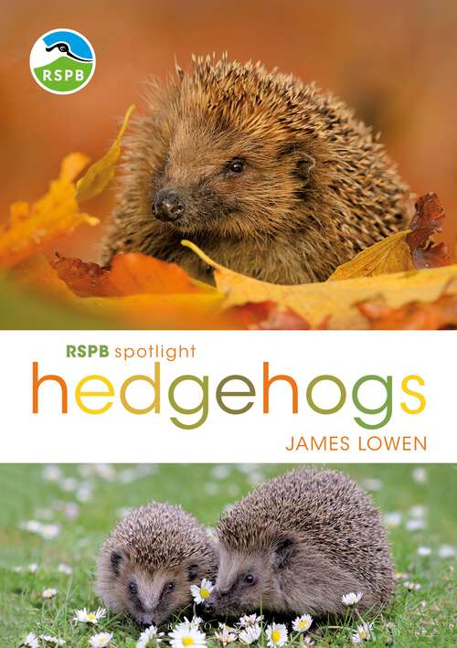 Book cover of RSPB Spotlight Hedgehogs