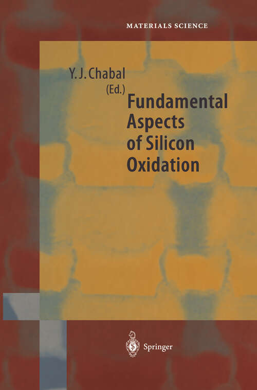 Book cover of Fundamental Aspects of Silicon Oxidation (2001) (Springer Series in Materials Science #46)