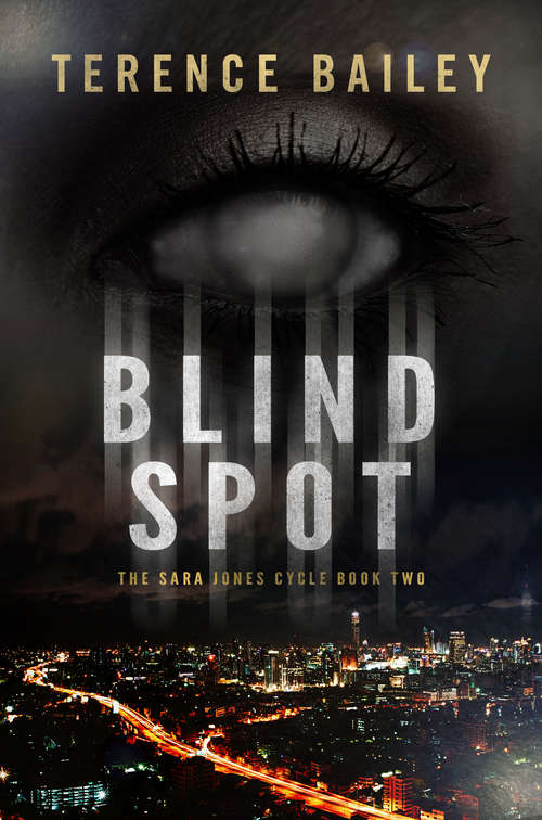 Book cover of Blind Spot: The Sara Jones Cycle (The Sara Jones Cycle #2)