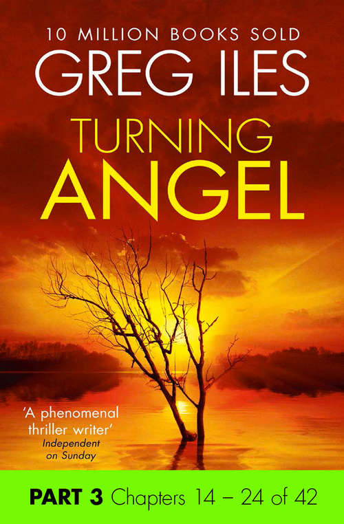 Book cover of Turning Angel: Part 3, Chapters 14 to 24 (ePub edition)