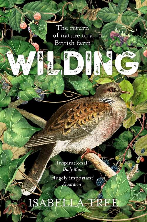 Book cover of Wilding: The Return of Nature to a British Farm