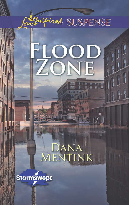 Book cover of Flood Zone: Flood Zone Betrayed Birthright (ePub First edition) (Stormswept #3)