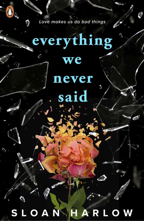 Book cover of Everything We Never Said
