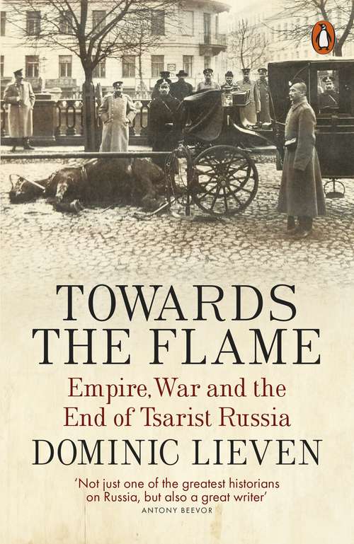 Book cover of Towards the Flame: Empire, War and the End of Tsarist Russia