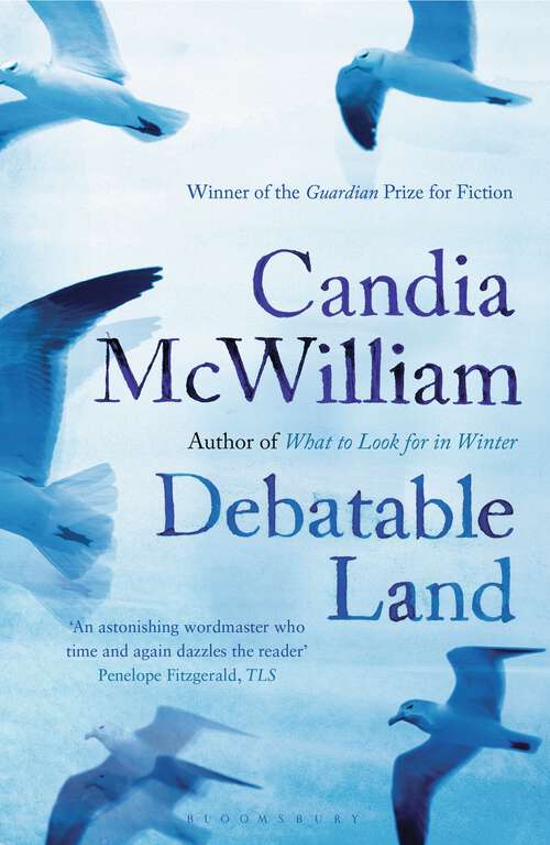 Book cover of Debatable Land (Bloomsbury Classic Ser.)