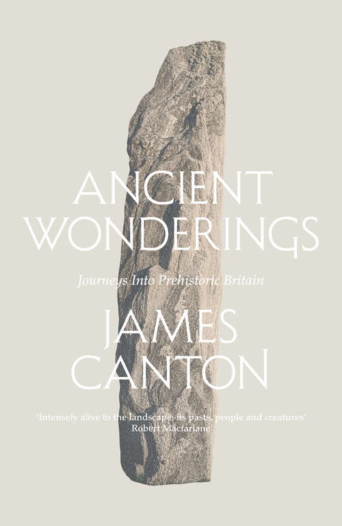 Book cover of Ancient Wonderings: A Tale Of Obsessions With Prehistoric Britain (ePub edition)