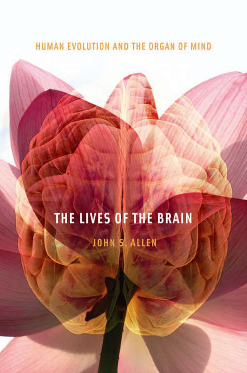 Book cover of The Lives of the Brain: Human Evolution And The Organ Of Mind