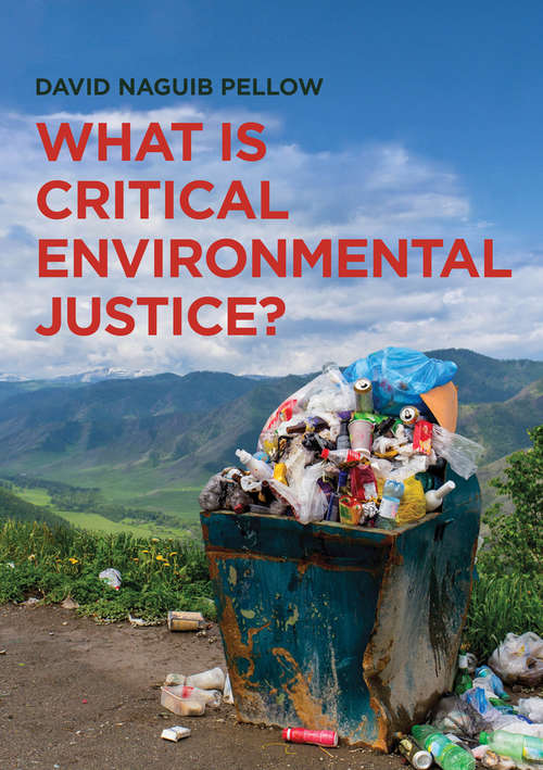 Book cover of What is Critical Environmental Justice?