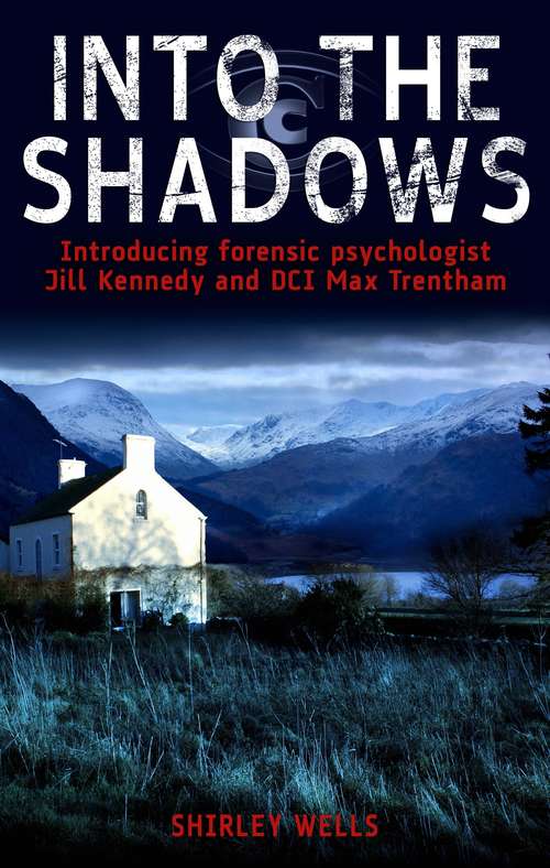 Book cover of Into the Shadows