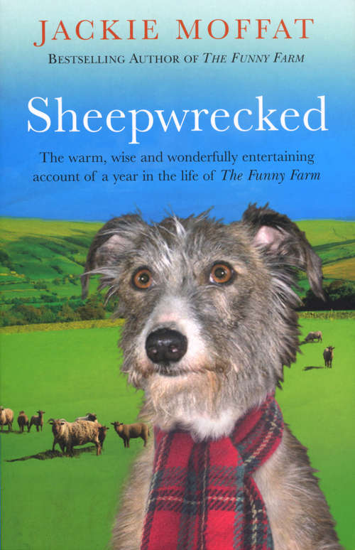 Book cover of Sheepwrecked: A Year's Worth Of Doggerel, Porkies, And Bull