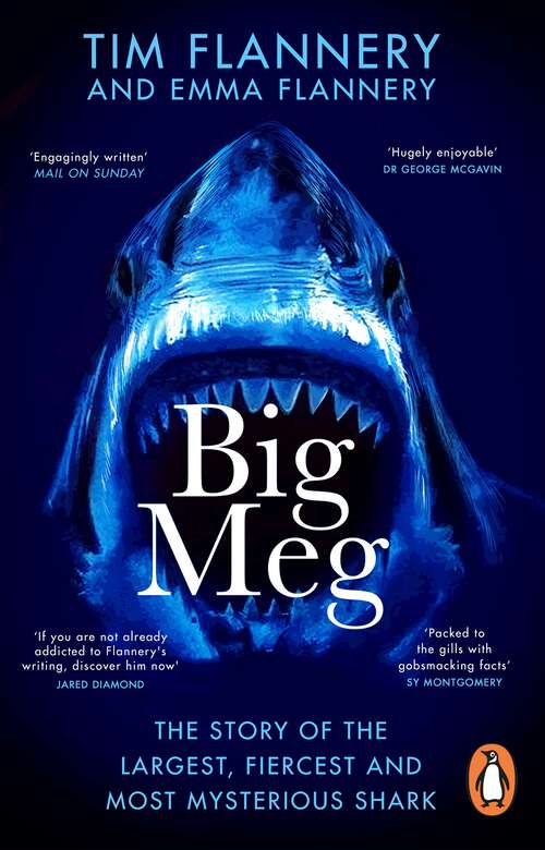 Book cover of Big Meg: The Story of the Largest, Fiercest and Most Mysterious Shark