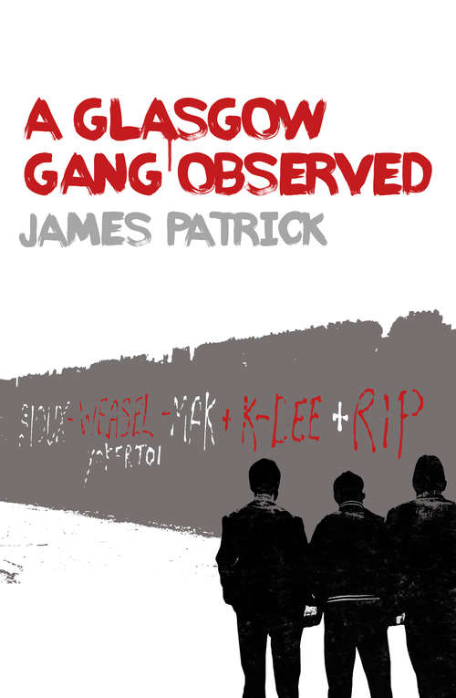 Book cover of A Glasgow Gang Observed (3)