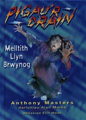 Book cover of Melltith Llyn Brwynog (Pigau'r Drain)