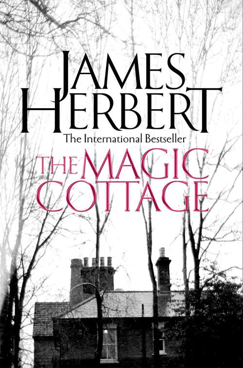 Book cover of The Magic Cottage (2) (Los Jet De Plaza Y J Ser.)
