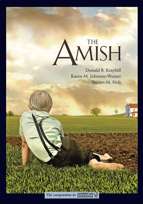 Book cover of The Amish