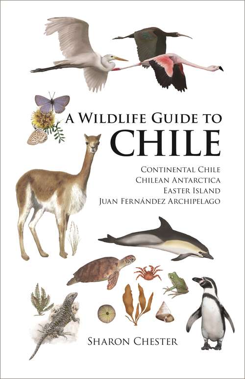 Book cover of A Wildlife Guide to Chile: Continental Chile, Chilean Antarctica, Easter Island, Juan Fernández Archipelago