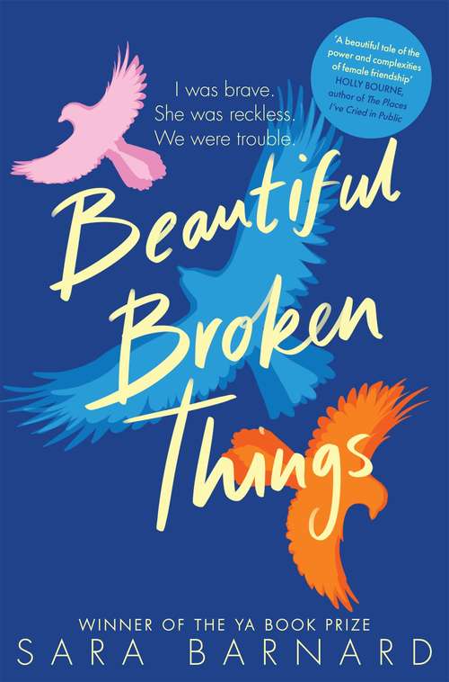 Book cover of Beautiful Broken Things