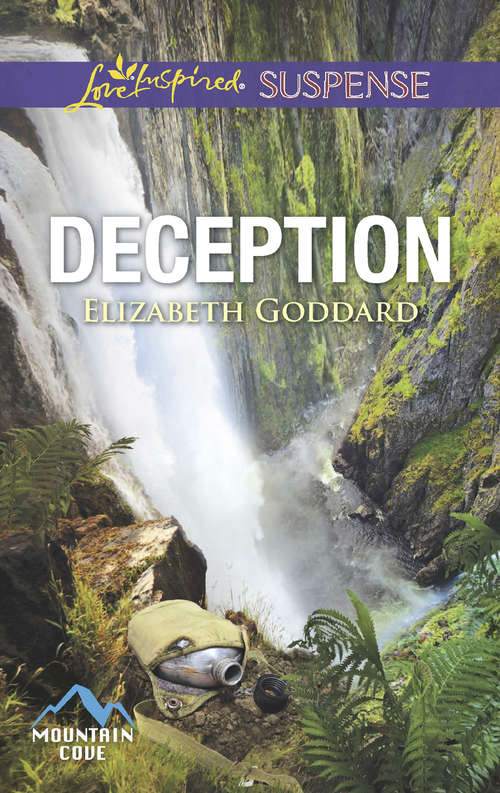 Book cover of Deception: Seek And Find Deception Cold Case Witness (ePub edition) (Mountain Cove #6)