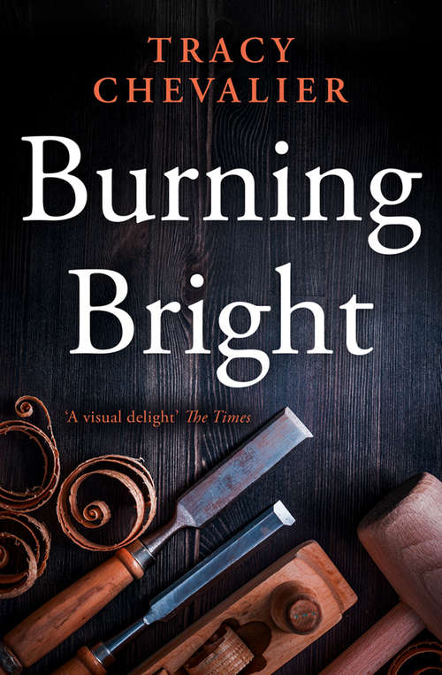 Book cover of Burning Bright (ePub edition)