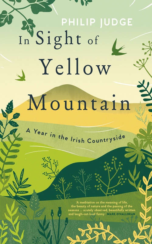 Book cover of In Sight of Yellow Mountain: A Year in the Irish Countryside