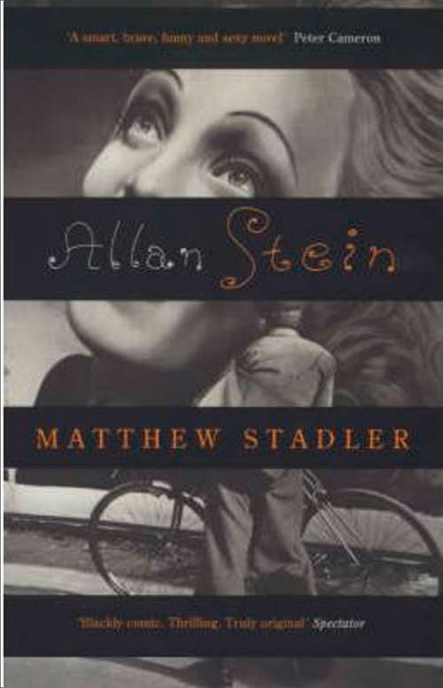 Book cover of Allan Stein (ePub edition)
