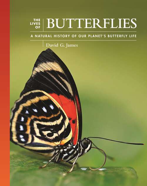 Book cover of The Lives of Butterflies: A Natural History of Our Planet's Butterfly Life (The Lives of the Natural World #6)