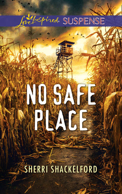 Book cover of No Safe Place: Distress Signal Mistaken Twin No Safe Place (ePub edition) (Mills And Boon Love Inspired Suspense Ser.)