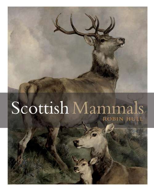 Book cover of Scottish Mammals